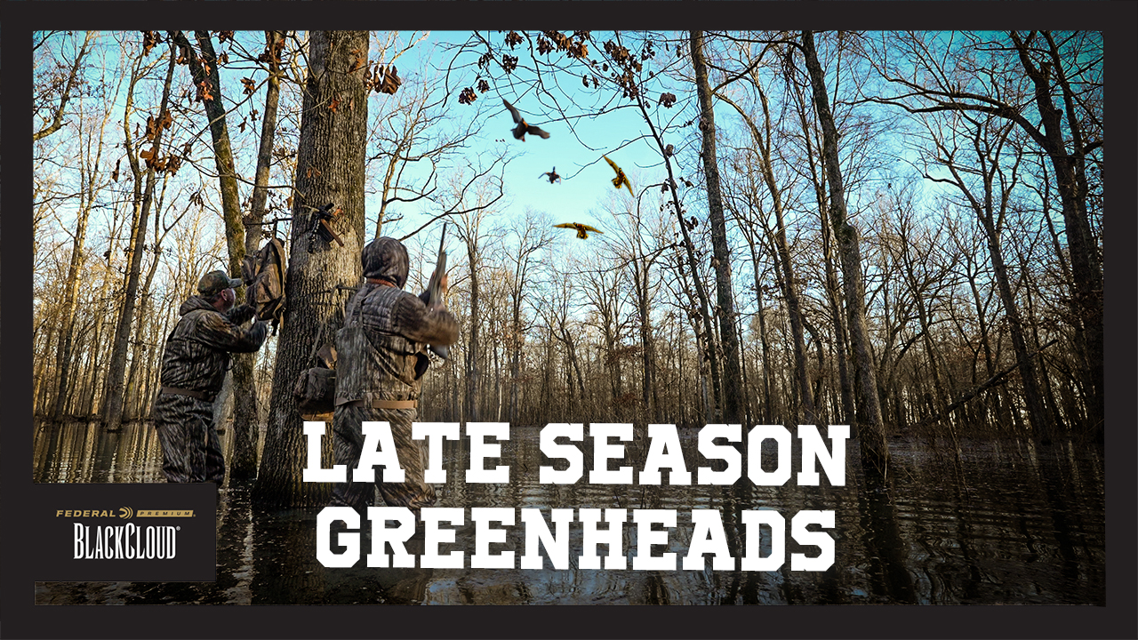 Mallards Do It Right | Arkansas Timber Green | Black Cloud