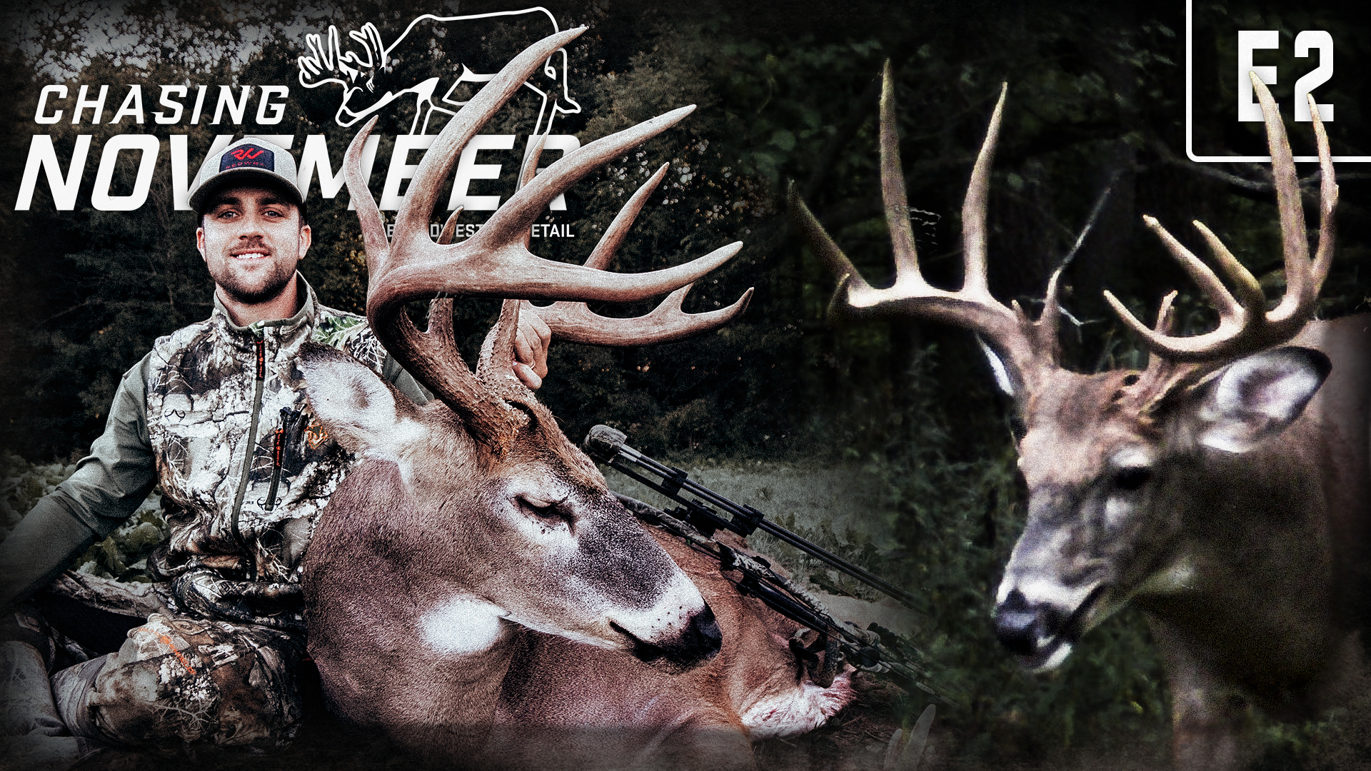 Public-Land Indiana Stud | Giant Missouri Buck | Chasing November