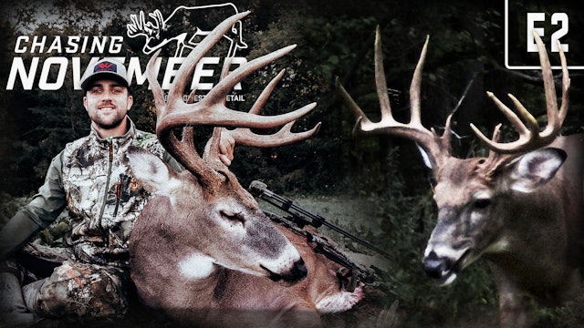 Public-Land Indiana Stud | Giant Missouri Buck | Chasing November