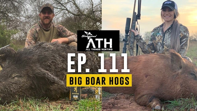 Big Boar Hogs in Texas | Two Hogzillas Down | All Things Hunting