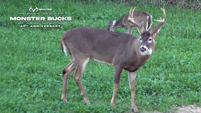Michael Pitts Smokes a Maryland Buck | Monster Bucks XXX (2022)