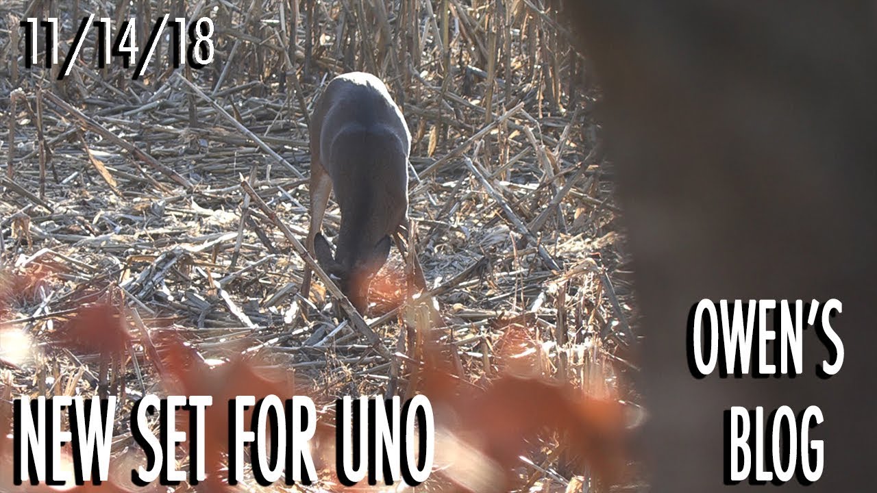 Owen's Blog: New Set for Uno