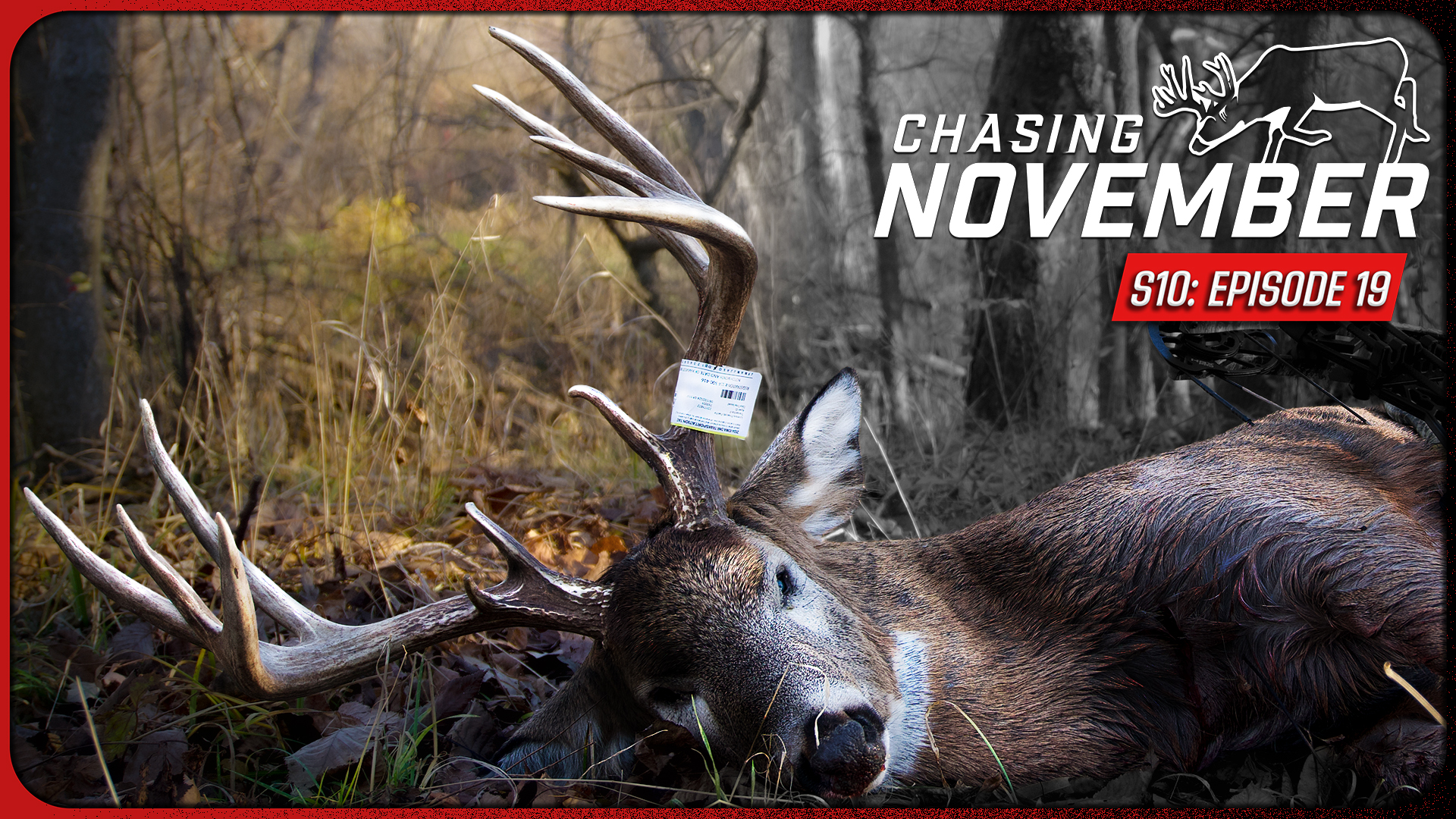 E19: A Public Land Giant Falls, New Bucks Are Showing