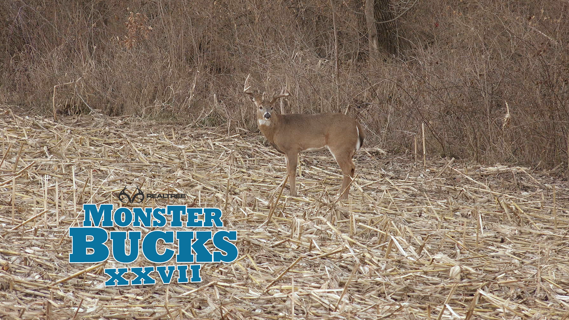 Tyler Rees Monster Buck