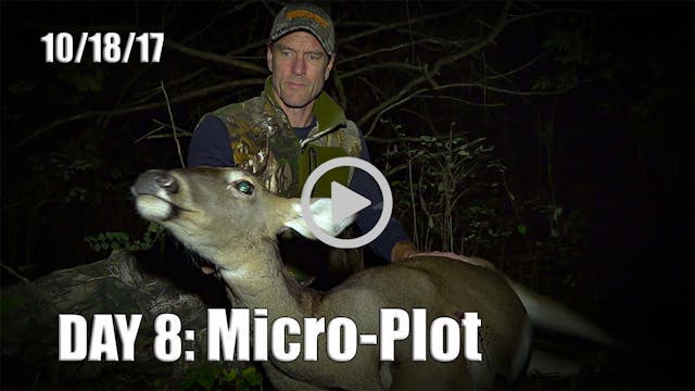 Winke Day 8: Micro Plot