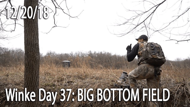 Winke Day 37: Big Bottom Field