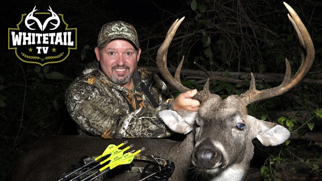 Last Chance Arkansas Bow Buck