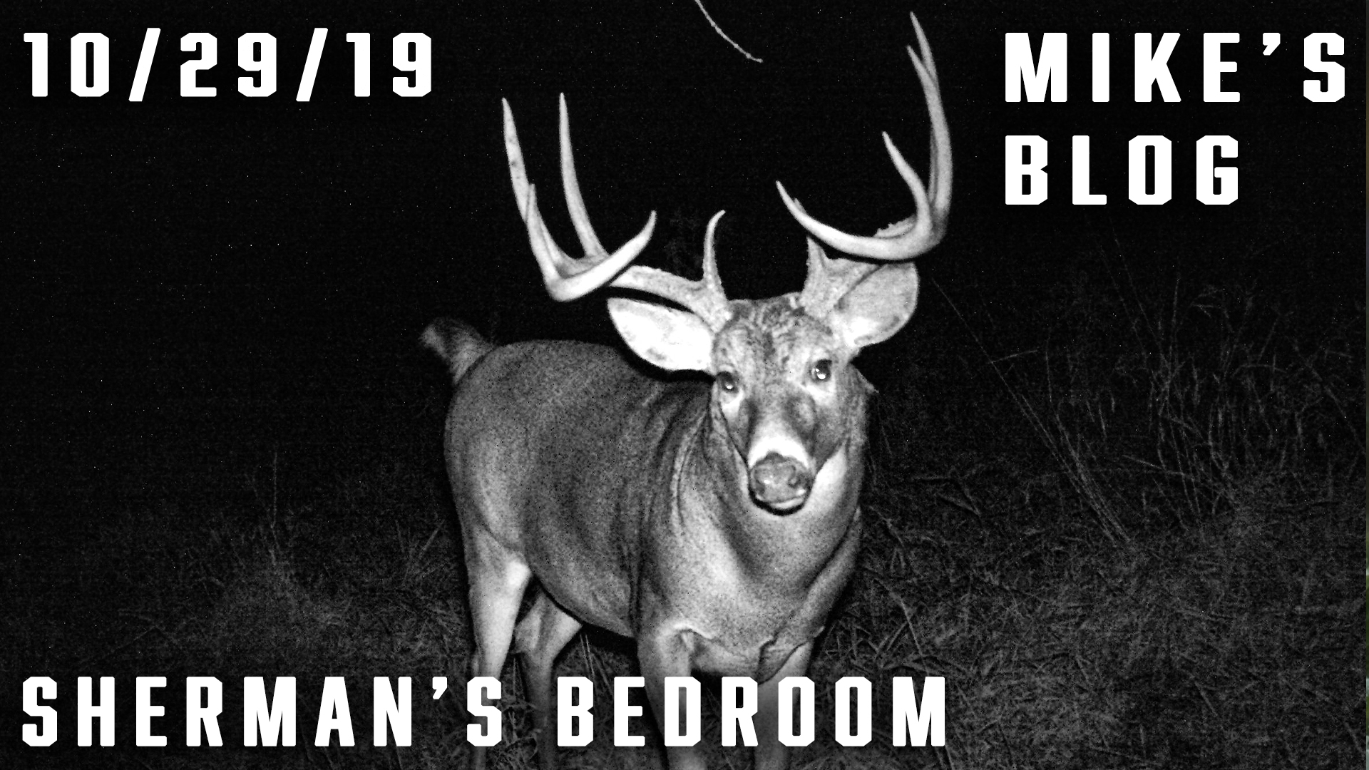 Mike's Blog: Sherman's Bedroom