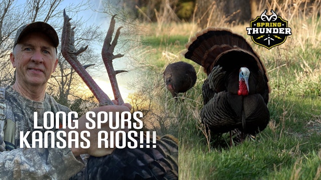 Huge Spurs and Monster Bucks | Kansas Turkey Hunting Road Trip | Spring Thunder