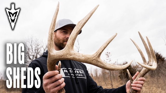 Piling Up Big Shed Antlers, Frost Seeding Clover in Iowa | Midwest Whitetail