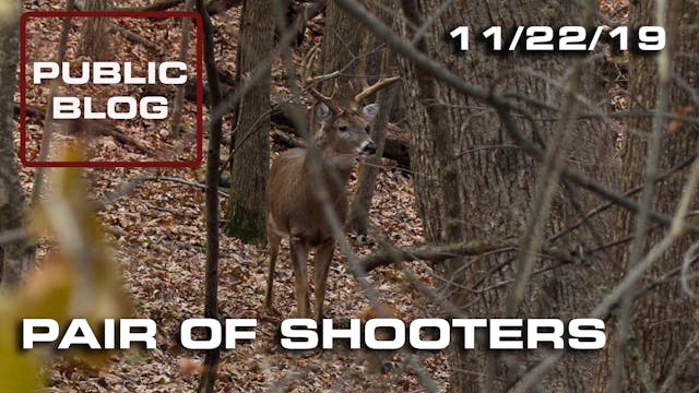 Public Land Blog | Pair of Shooters
