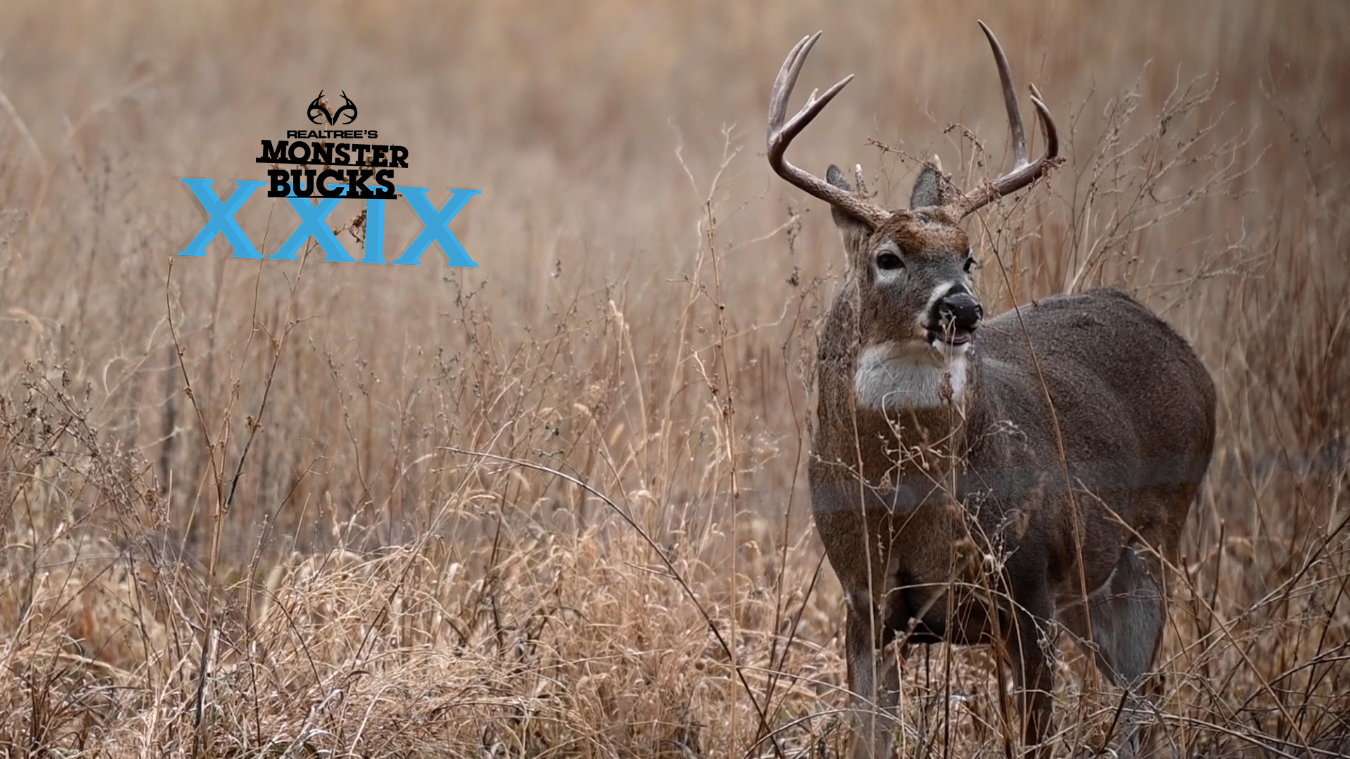 Austin Riley's Nebraska Buck | Monster Bucks 2021