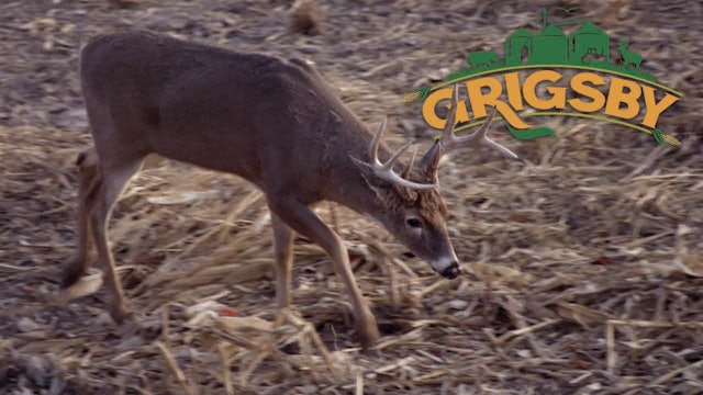 Crossbow Hunting in Illinois | Youth Hunter Success in the Midwest | Grigsby