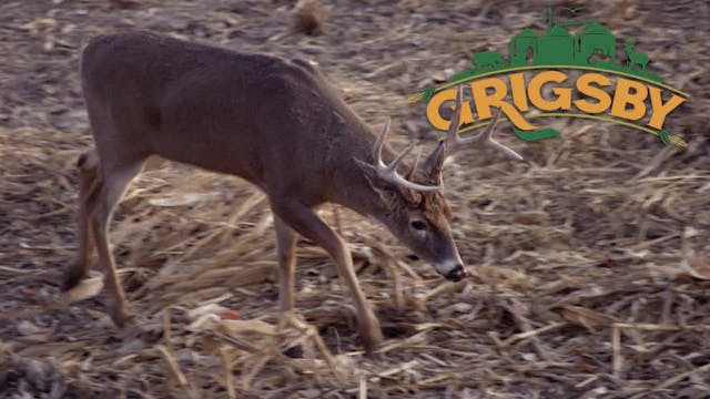 Crossbow Hunting in Illinois | Youth ...
