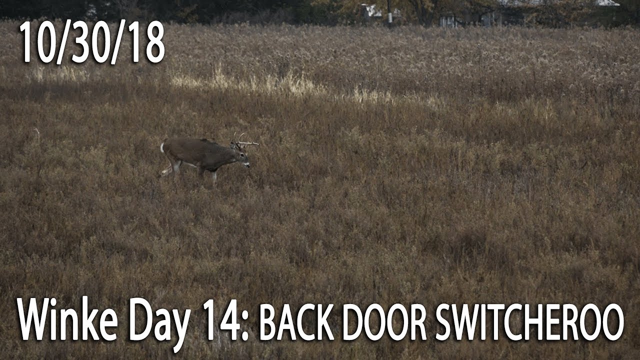 Winke Day 14: Back Door Switcheroo