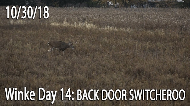 Winke Day 14: Back Door Switcheroo