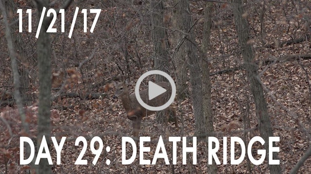 Winke Day 29: Death Ridge
