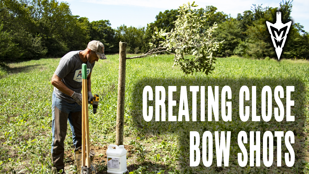 9-2-19: Creating Close Bow Shots, Buck Intros | Midwest Whitetail
