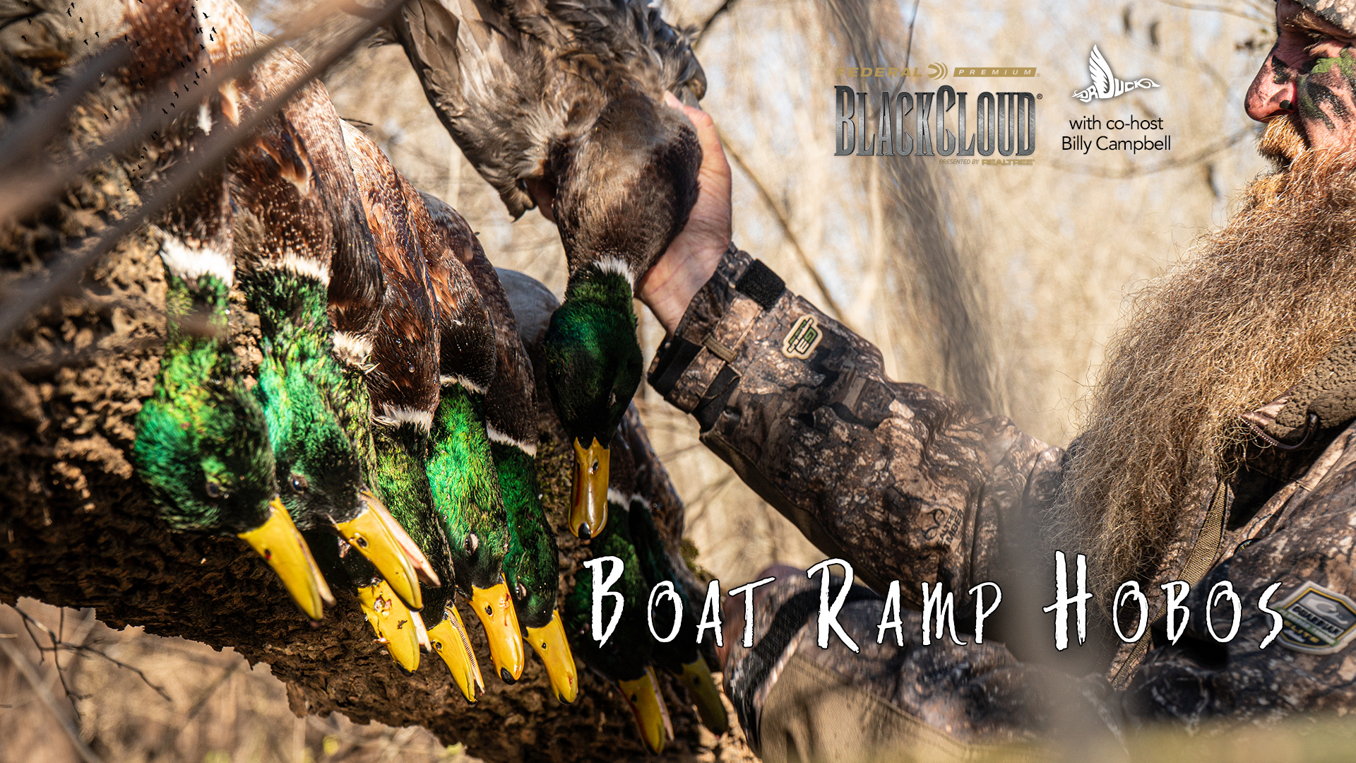 Boat Ramp Hobos: Sleeping in the Truck for Greenheads