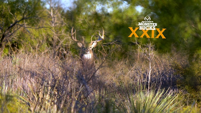 Jarrod Nichols Hunts Rutting Texas Bucks | Monster Bucks 2021