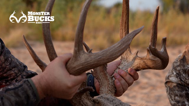 Jordan Wiggins Shoots Massive Buck | Monster Bucks XXXI (2023)