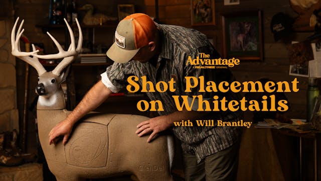 The Best Shot Placement on Whitetails...