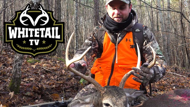 Incredible Late-Season Deer Hunts