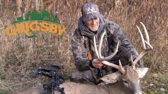 Bucks Are Falling at the Grigsby | Mature Buck at 5 yards | Grigsby