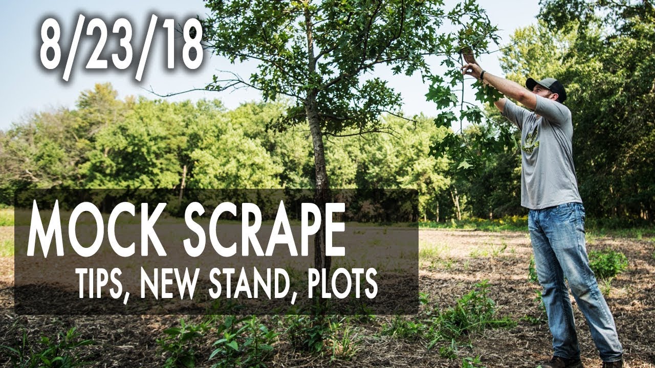 Jared's Blog: Mock Scrape Tips, New Stand