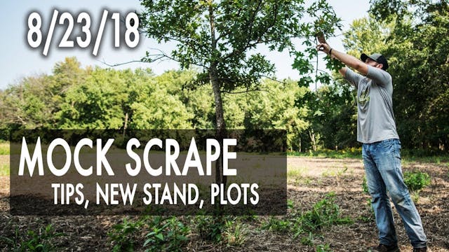 Jared's Blog: Mock Scrape Tips, New S...