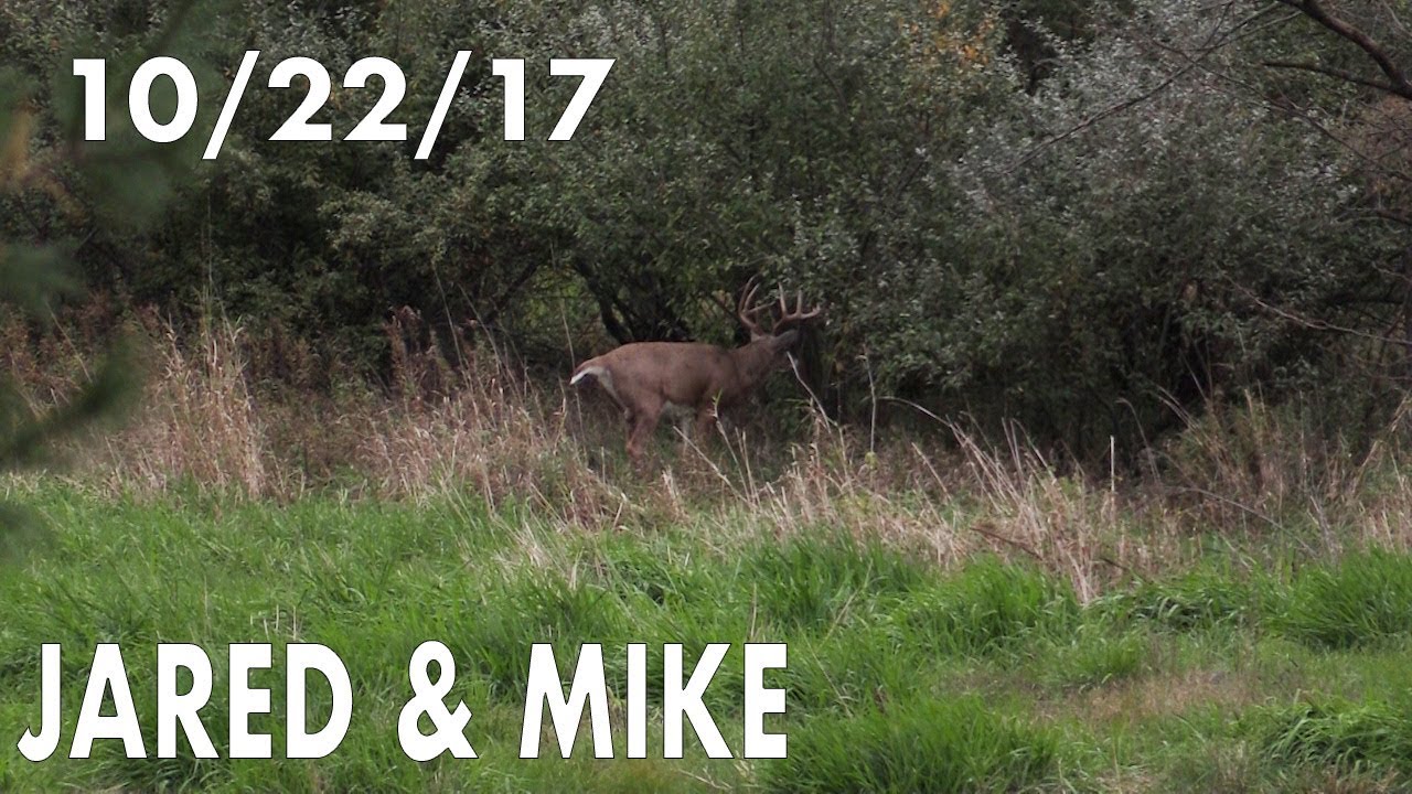 Jared's Blog: Big 8 Puts on a Show