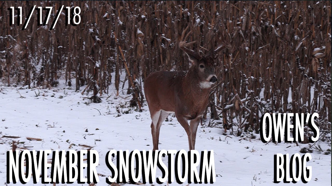 Owen's Blog: November Snowstorm
