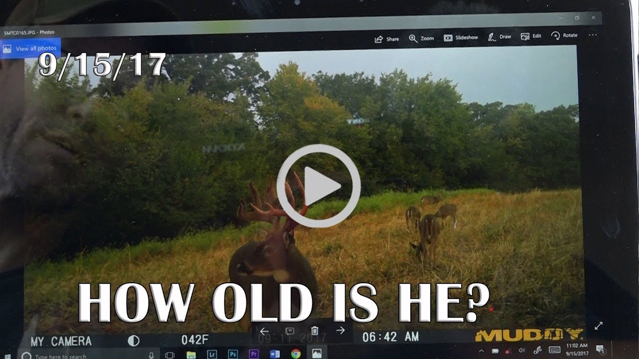 Winke's Blog: Aging Bucks-Trail Camera Patterning