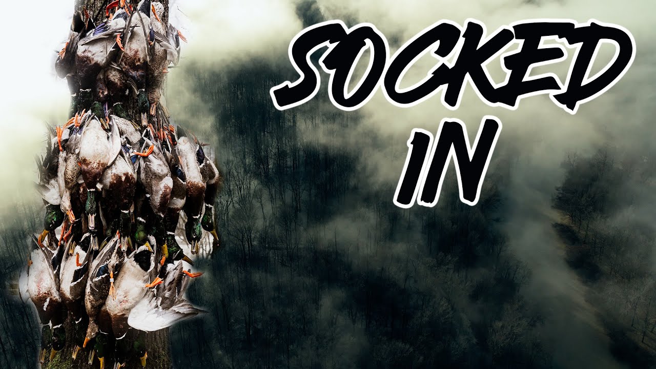 Socked In On Public Land _ Dr Duck