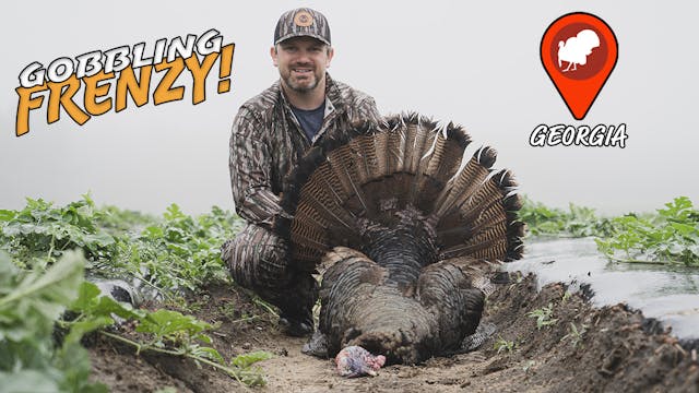 Gobbling MADNESS | Turkey Hunting the...