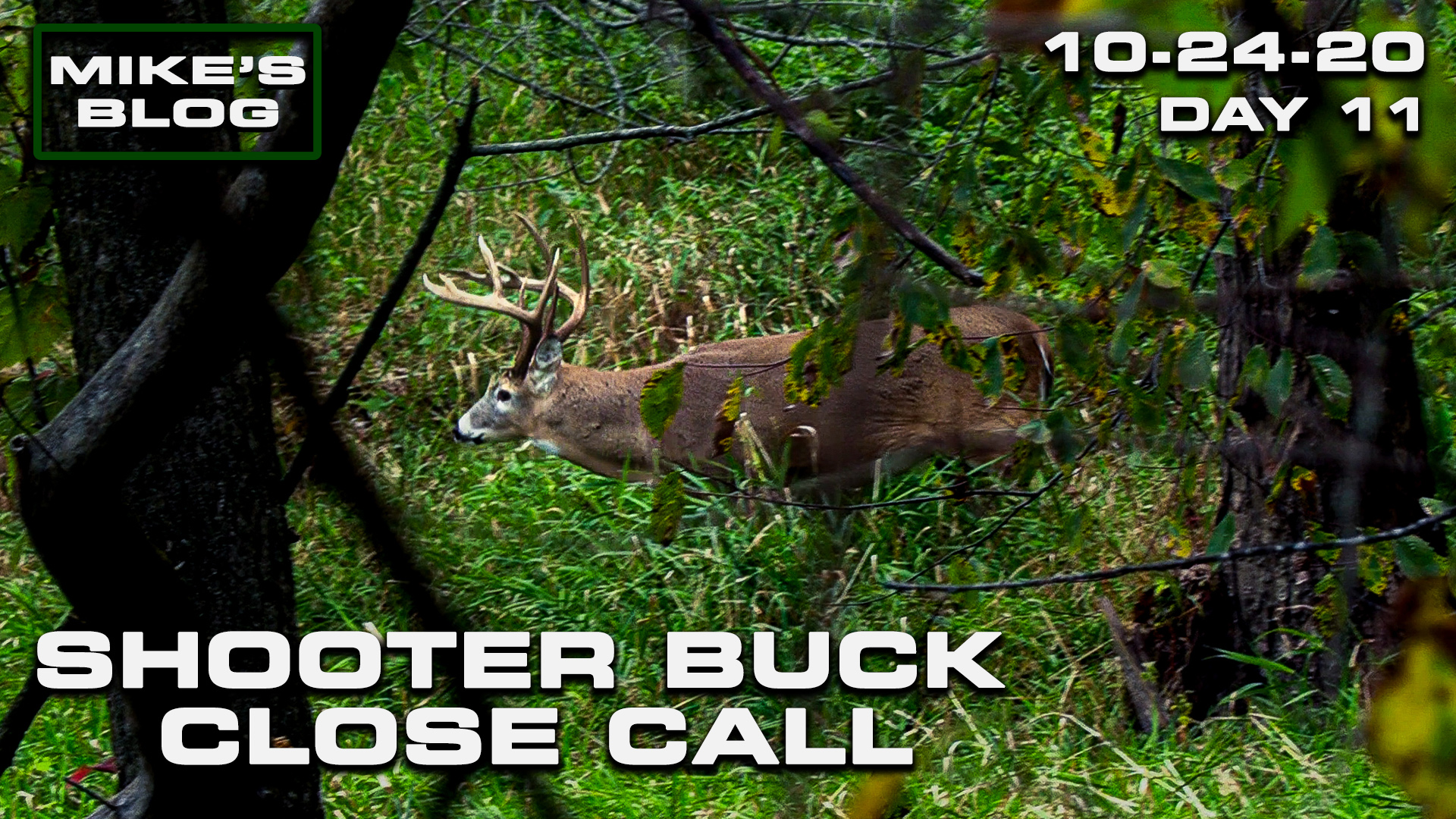 Mike's Blog: A Familiar Face Returns | Two Close Calls with a Giant