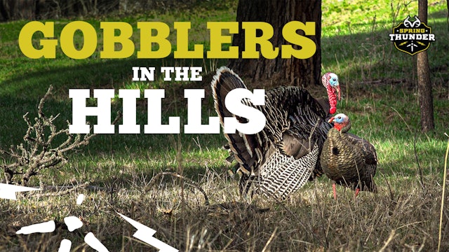 3 Mountain Gobblers Down | Best Merriam's footage ever?!? | Spring Thunder
