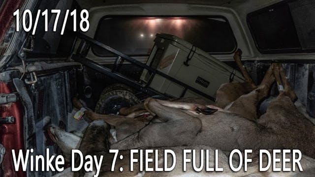 Winke Day 7: Field Full of Deer