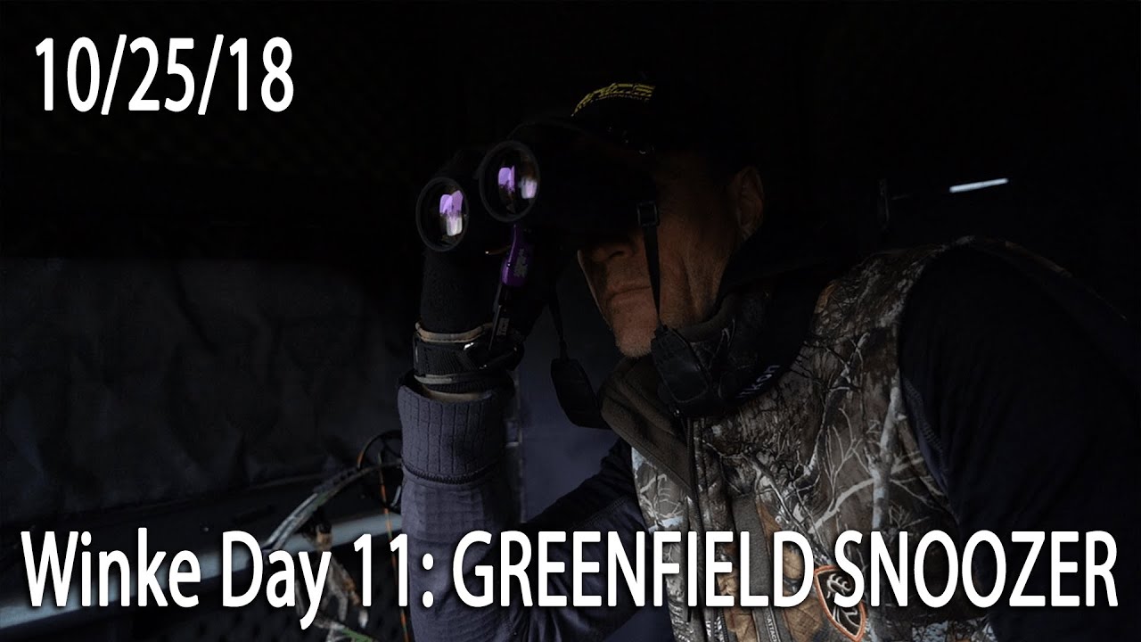 Winke Day 11: Greenfield Snoozer