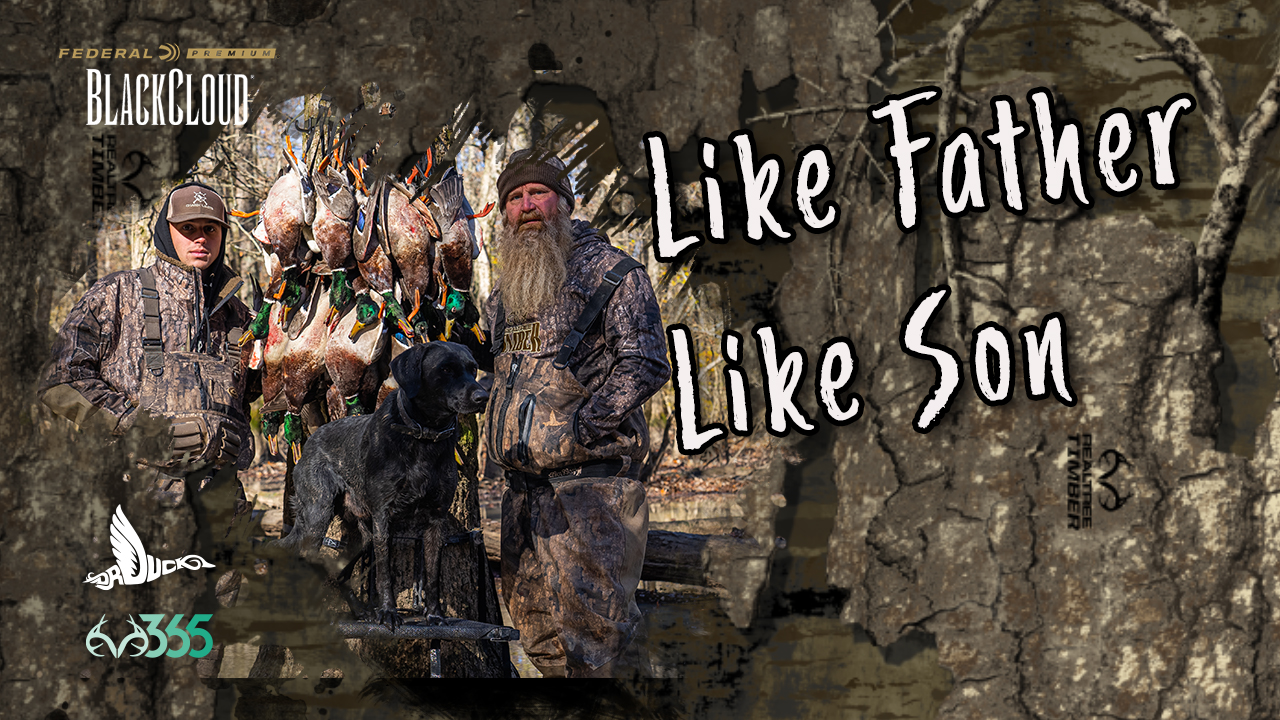 Like Father, Like Son | Mallards in the Timber | Black Cloud