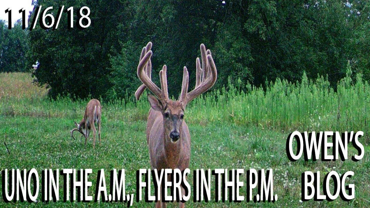 Owen's Blog: Morning Hunt for Uno