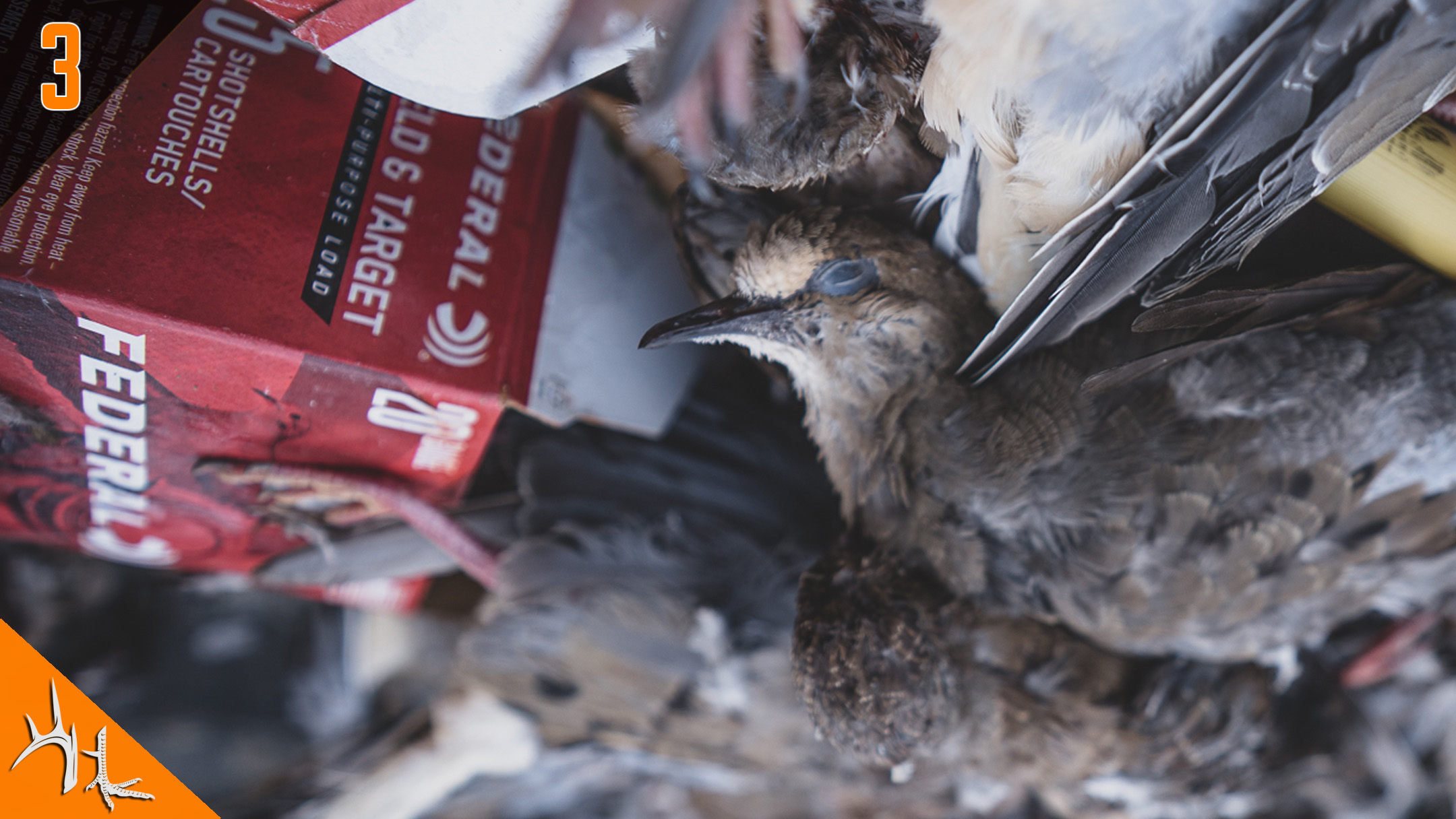 Lee Brice and Friends at the 5th Annual Dove Hunt | Hunt Club