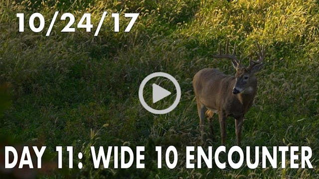 Winke Day 11: Wide 10 Encounter