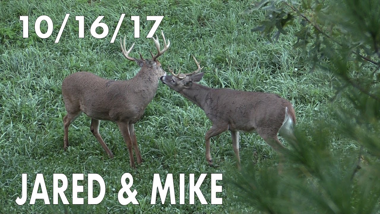 Jared's Blog: When to be Aggressive