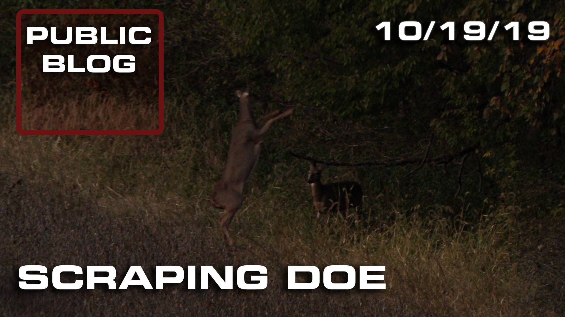 Public Land Blog | Scraping Doe