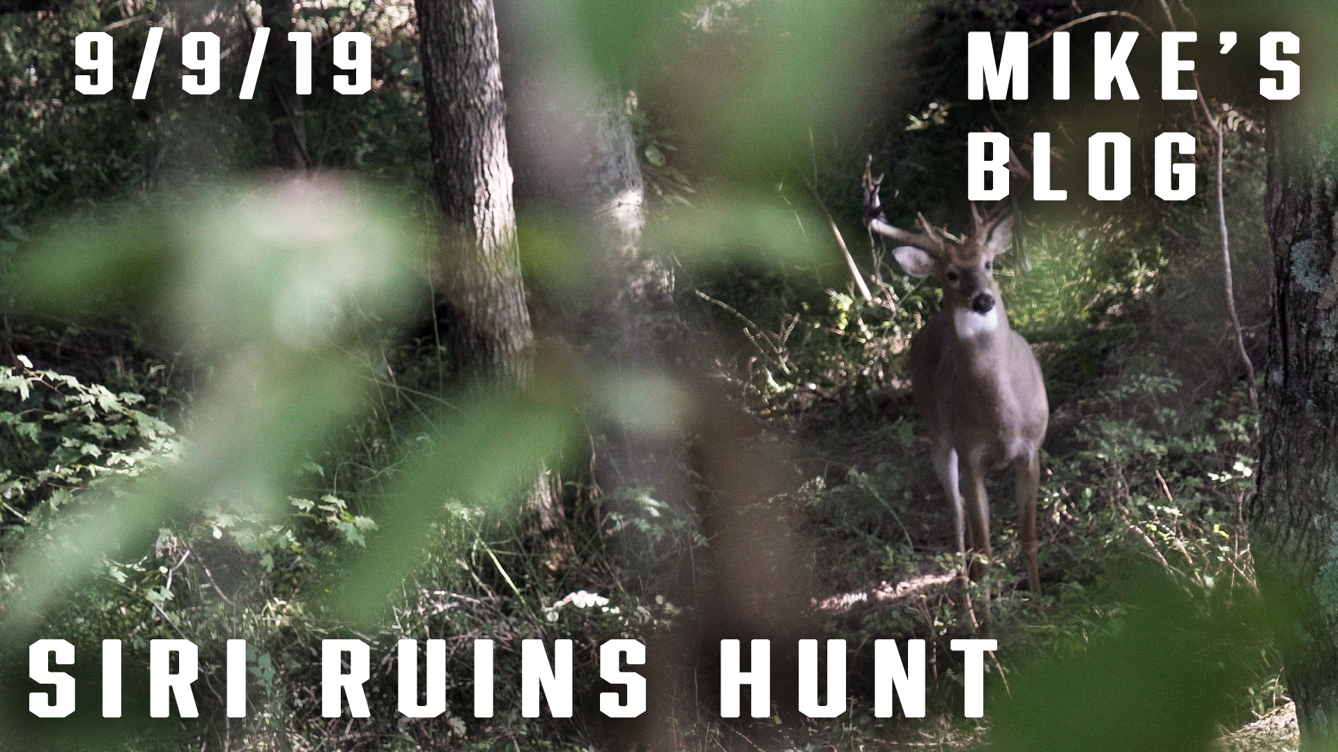 Mike's Blog: Siri Ruins Hunt