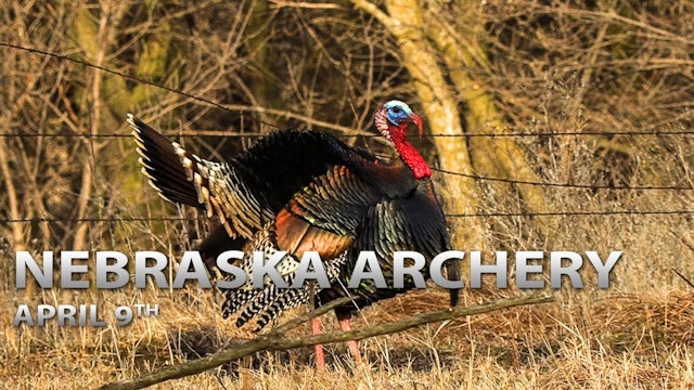 4-9-18: Nebraska Turkey Archery Season, Bowhunting Gobblers | Spring Thunder