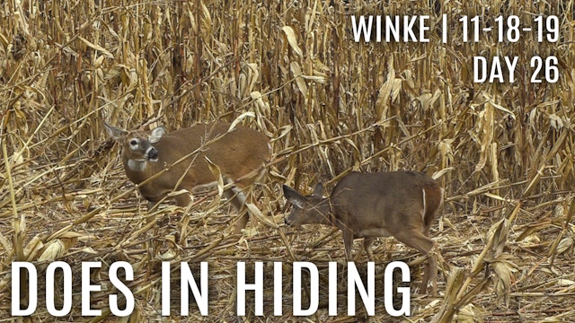 Winke Day 26: Does In Hiding, Avoiding The Food