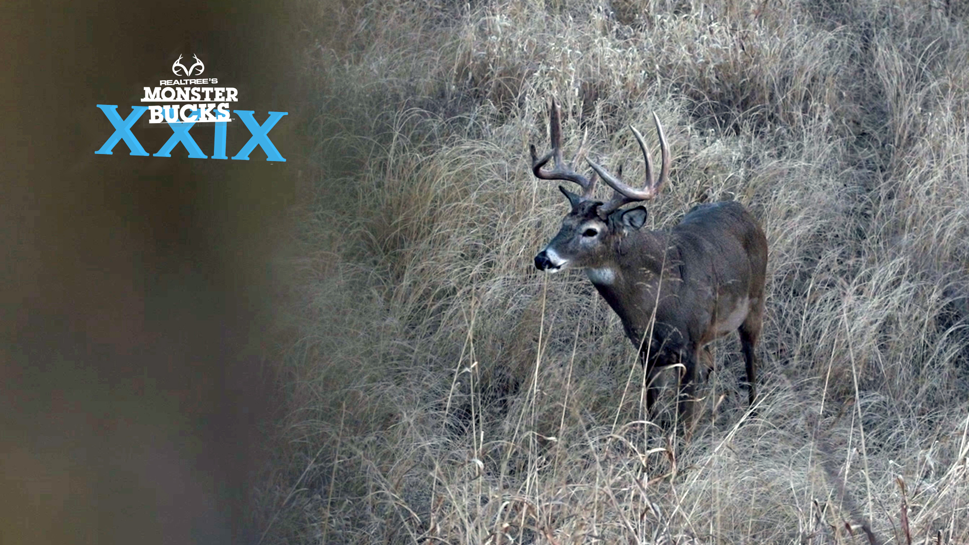 Tyler Jordan's Incredible Kansas Archery Buck | Monster Bucks 2021