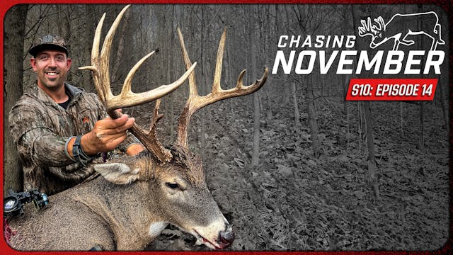 E14: 173" Illinois Dandy, Three Bucks...